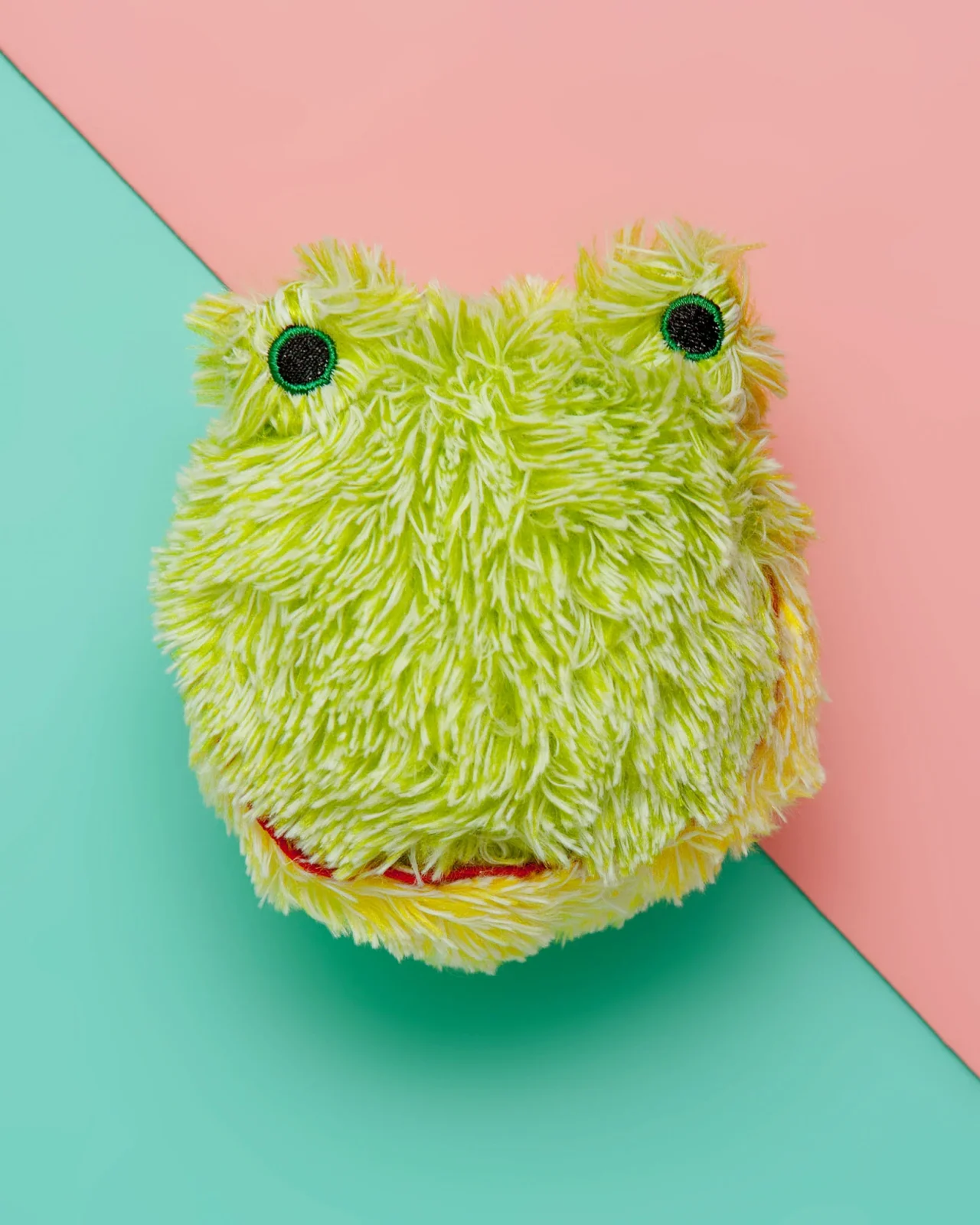 EZ Squeaky Frog Ball Toy