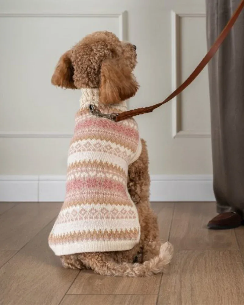 Fall Medley Alpaca Wool Dog Sweater in Dusty Rose - Image 2