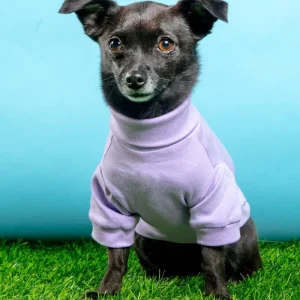 Cotton Pullover Dog T-Shirt in Lavender or Navy (FINAL SALE)