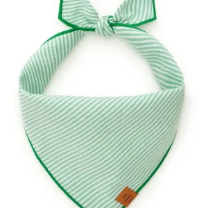 Green Seersucker Dog Bandana (FINAL SALE)