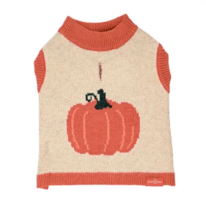 Oh My Gourd Sweater