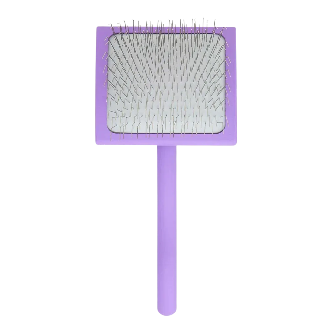 Big A Slicker Brush Large/Purple by Chris Christensen