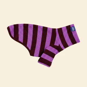PBJ Ribbed Dog Shirt in Purple & Brown