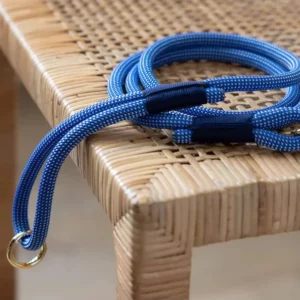 Climbing Rope Leash in Lagoon (Made in the USA)