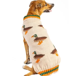 Lucky Duck Dog Sweater