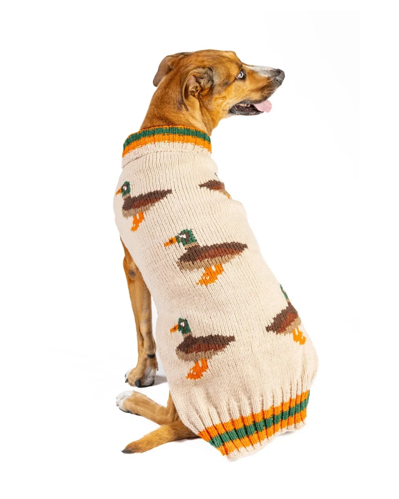 Lucky Duck Dog Sweater