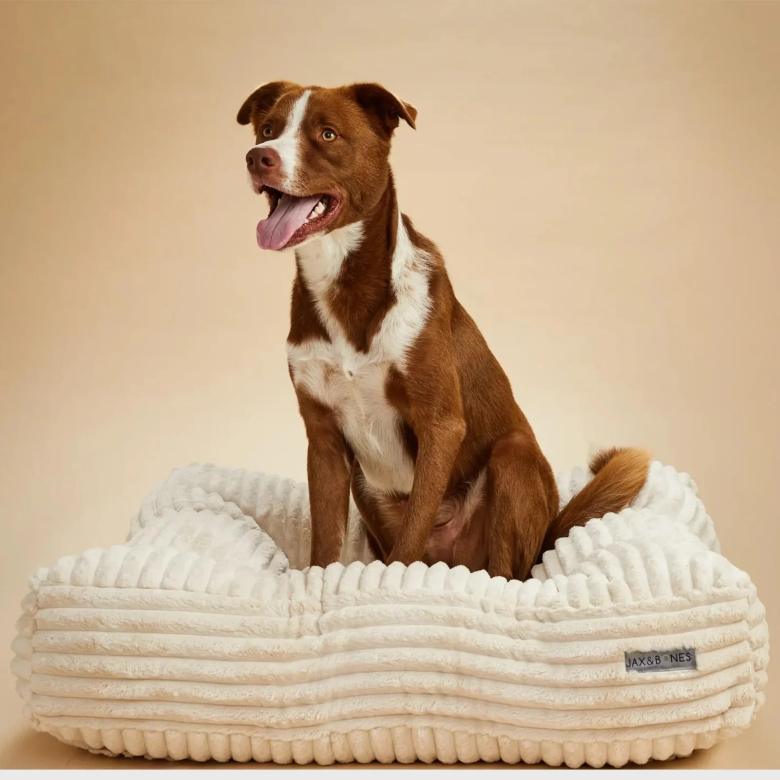 Pillow Top Dog Bed in Luna Ivory (Direct Ship)(Made in the USA) - Image 2
