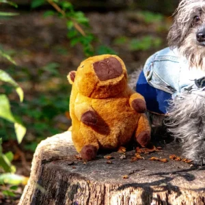 Cappy Squeaker Dog Toy (8")