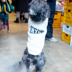 NYC Pennant Dog Sweatshirt