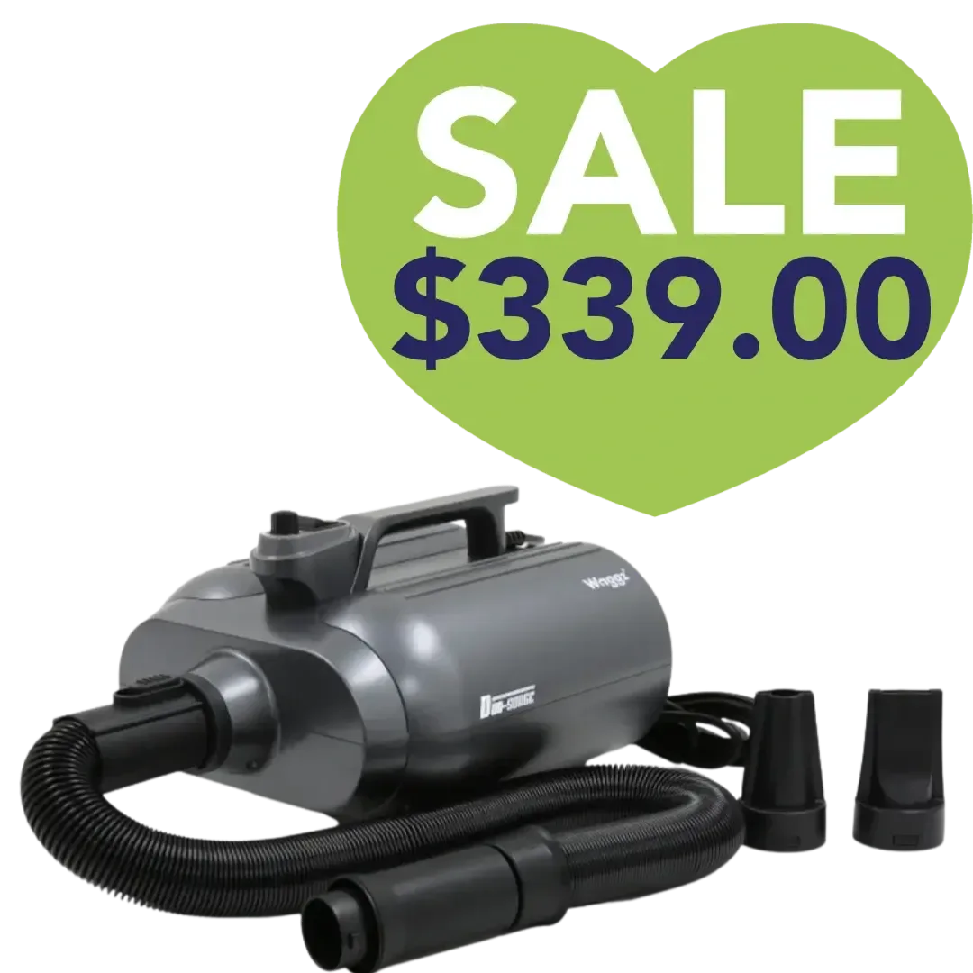 Duo-Surge Max Power & Airflow Dryer by Waggz