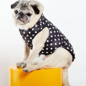 Reversible AiryVest in Black + Black Dot (DOG & CO. Exclusive) (FINAL SALE)