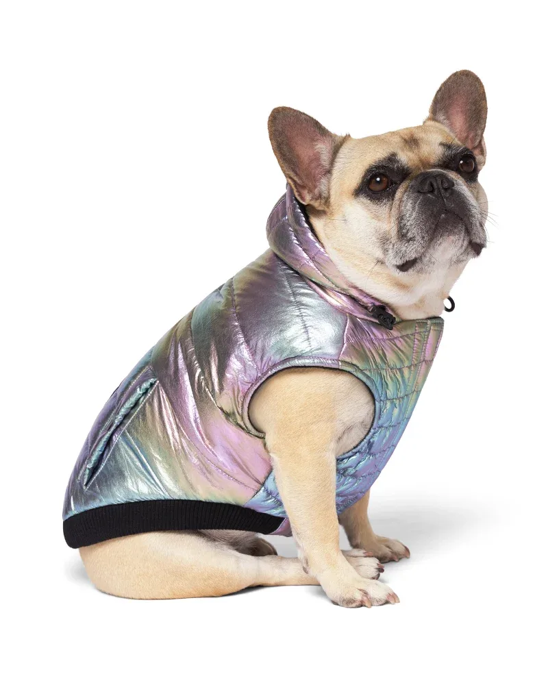 Shiny Puffer Dog Coat in Iridescent <>