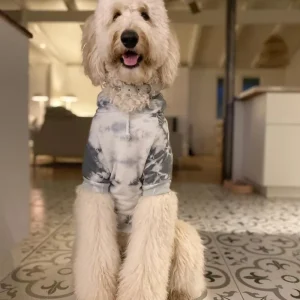 Tie Dye Dog Hoodie in Grey & White (FINAL SALE)