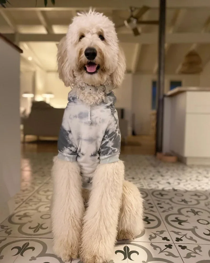 Tie Dye Dog Hoodie in Grey & White (FINAL SALE)
