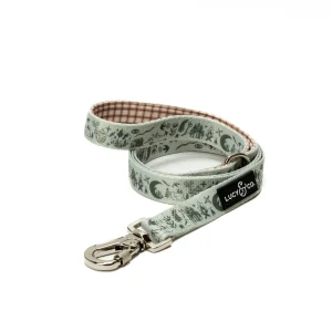Camp Out Leash