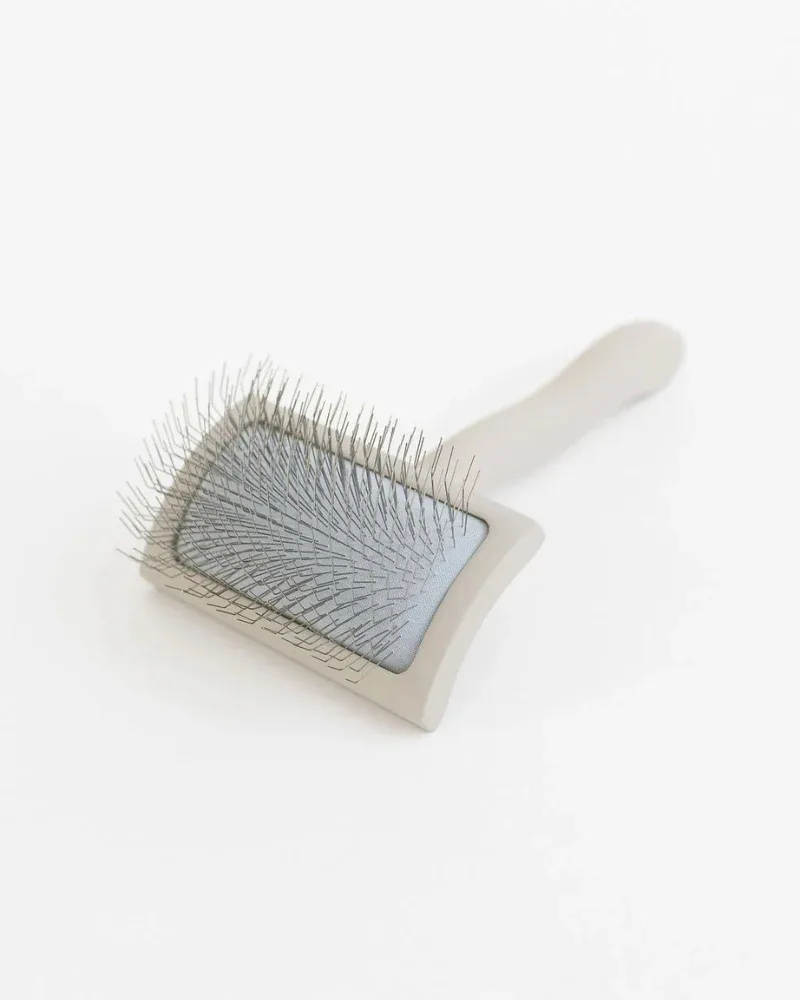 Everyday Slicker Brush for Dogs