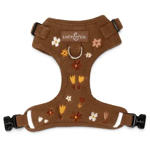 Chocolate Meadows Corduroy No-Pull Harness
