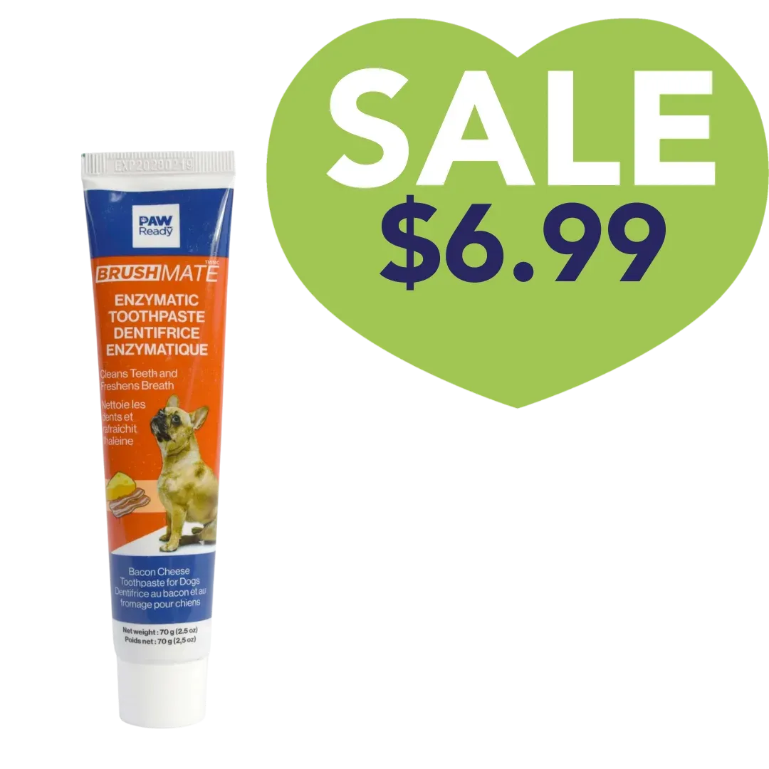 Brushmate Toothpaste Bacon Cheese 2.5oz by Paw Ready