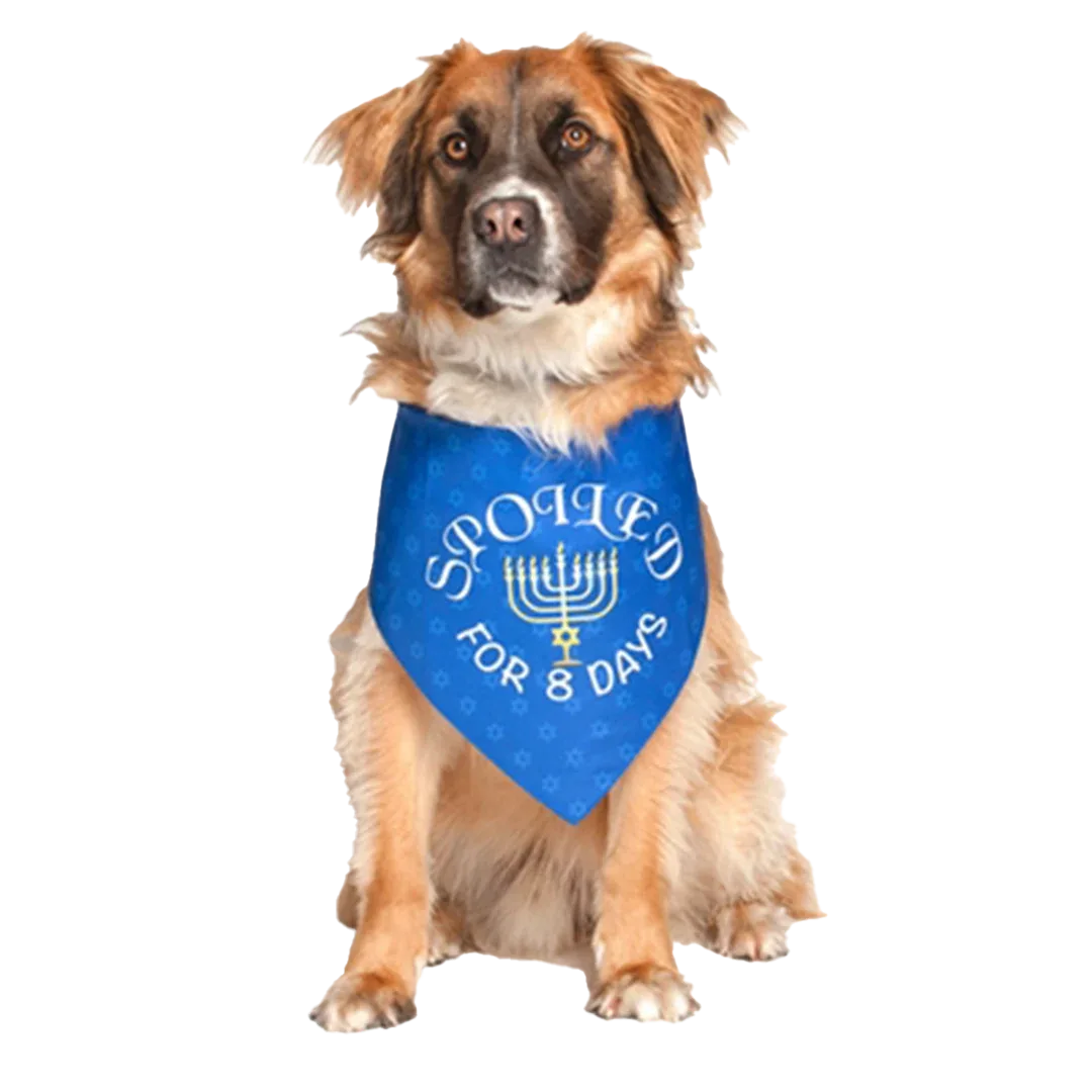 Hanukkah Holiday Dog Bandana by Dog Fashion Living - Image 2