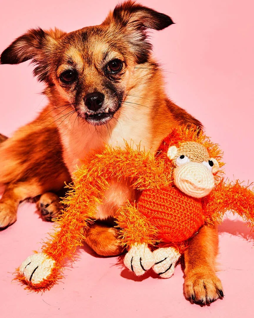 Hand Crochet Plush Monkey Dog Toy