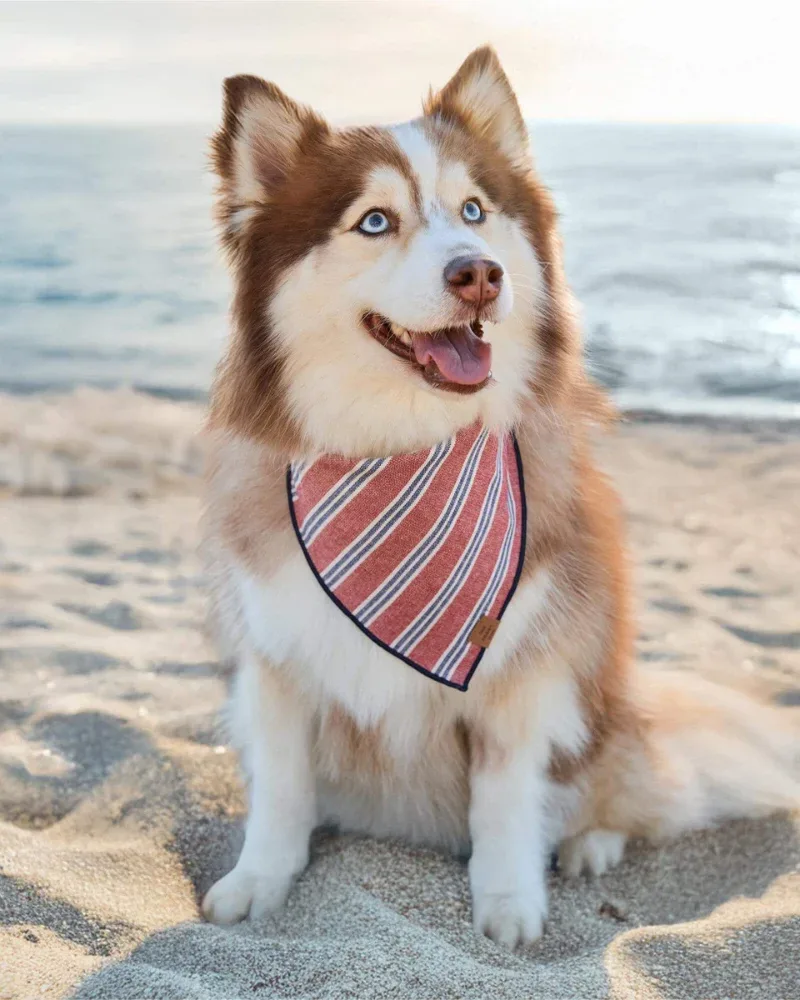 Nantucket Stripe Dog Bandana (Made in the USA) - Image 2