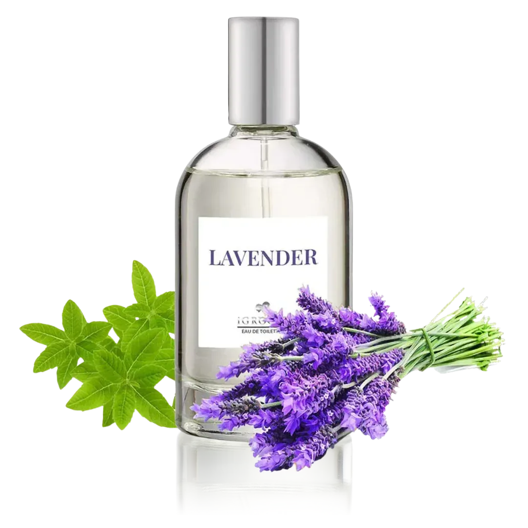 Lavender Perfume 100ml by iGroom - Image 2