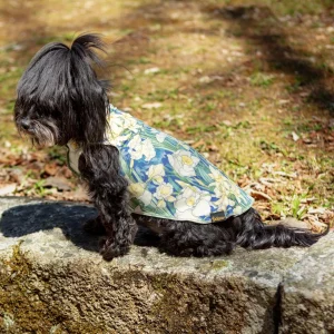 Sun Shield Dog Tee in Daffodils (Made in the USA)