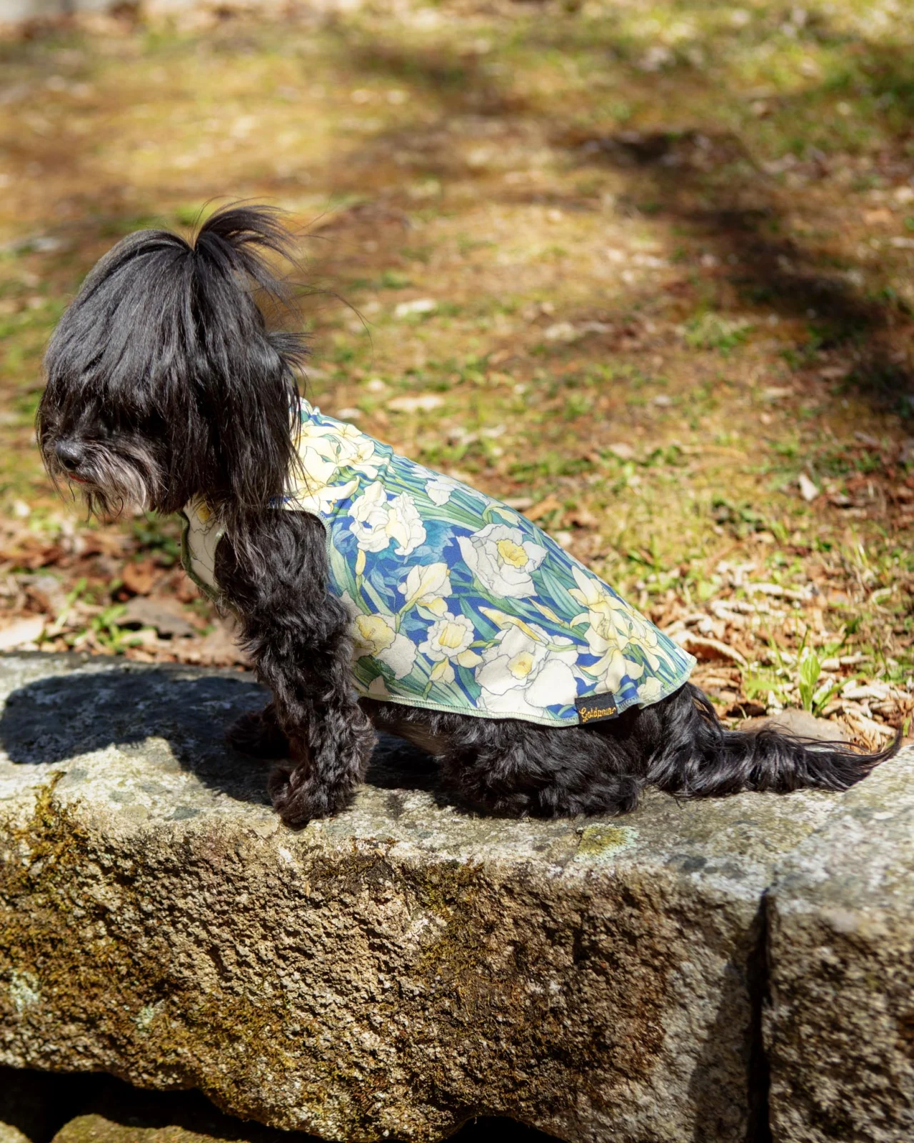 Sun Shield Dog Tee in Daffodils (Made in the USA)