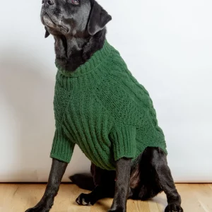 Downtown Roll Neck Dog Sweater in Evergreen (FINAL SALE)