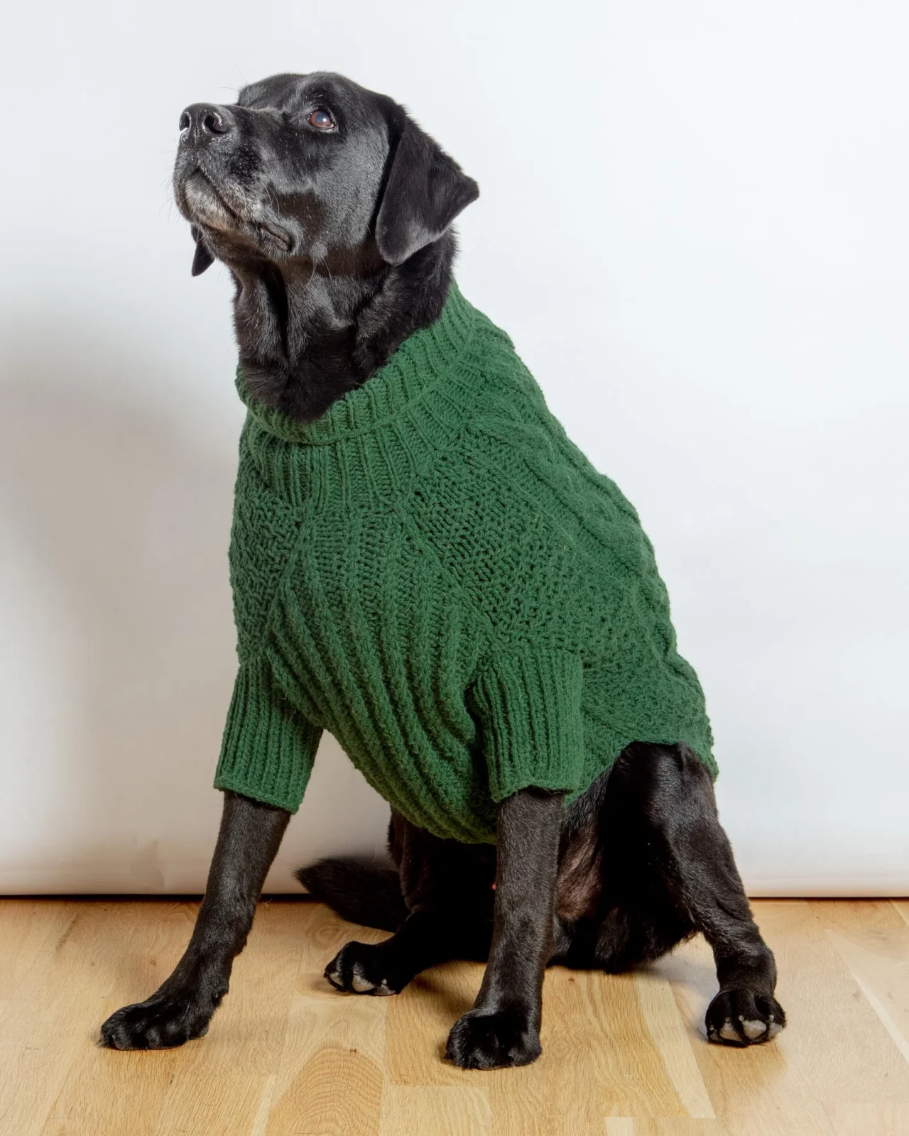 Downtown Roll Neck Dog Sweater in Evergreen (FINAL SALE)