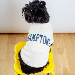Hamptons Dog Sweatshirt in Oat