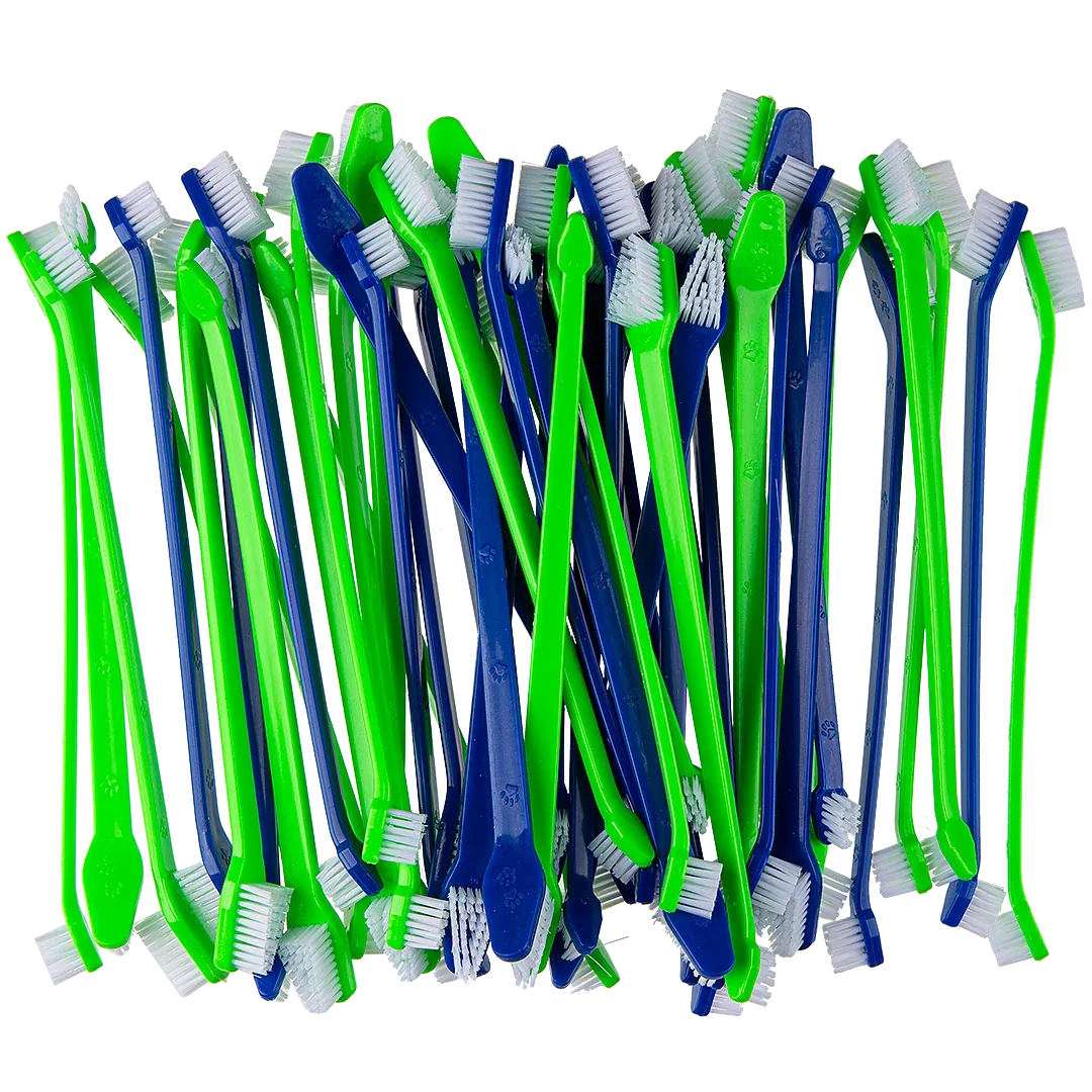 Dual-end Tooth Brushes 50 Count Green/Blue by PetStore.Direct