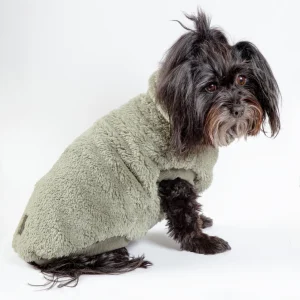 Turtle Teddy Dog Fleece in Rosemary (FINAL SALE)