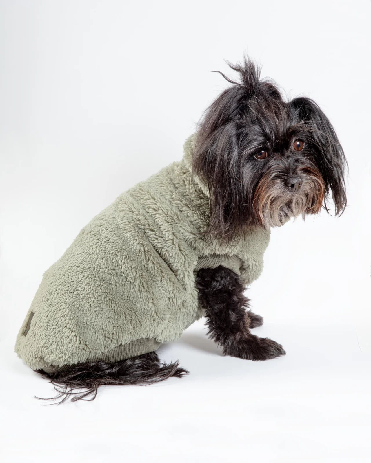 Turtle Teddy Dog Fleece in Rosemary (FINAL SALE)