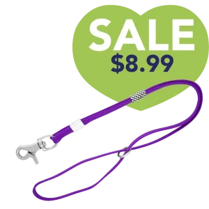 Grooming Loop in Purple by Aeolus