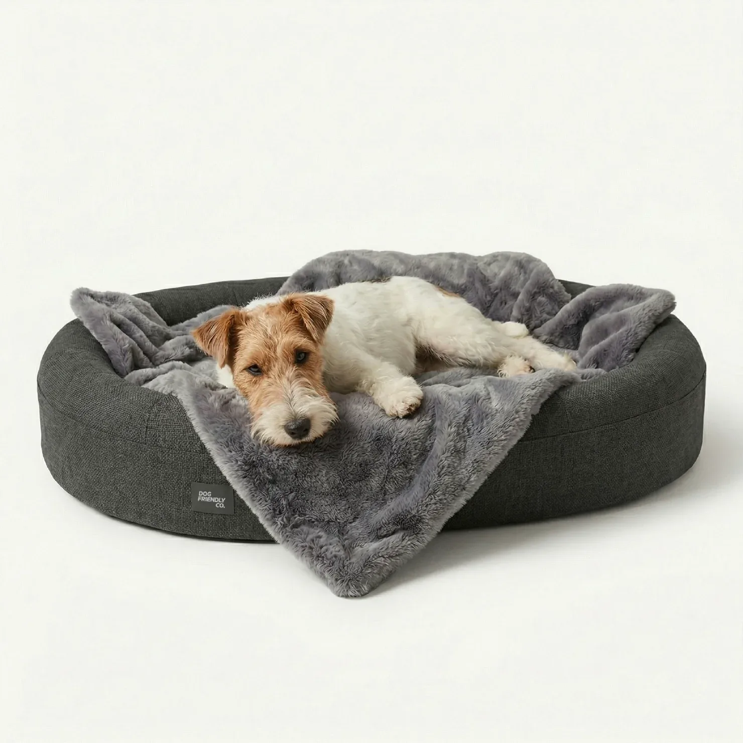 Chill Pill Memory Foam Dog Bed - Charcoal (Medium) - Image 2