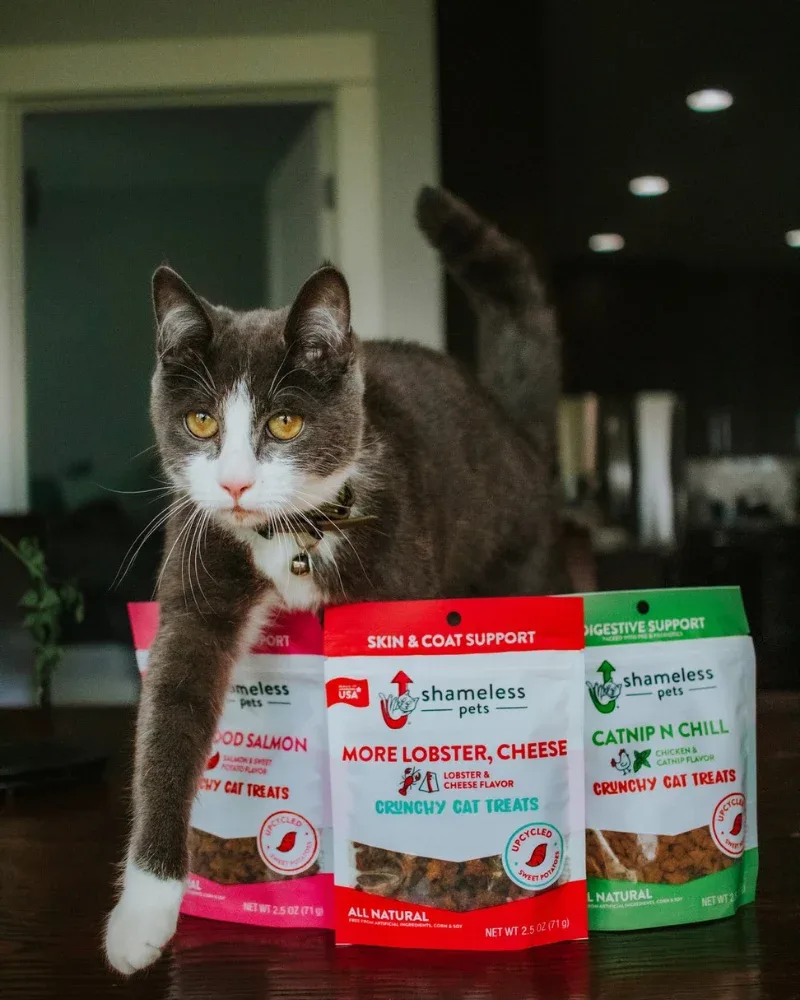 More Lobster, Cheese Crunchy Cat Treats - Image 2