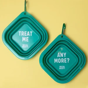 Wild & Woofy Collapsible Dog Bowl Set