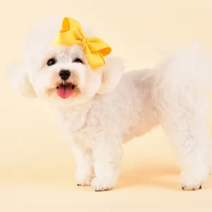Princess Ribbon Dog Hair Bow