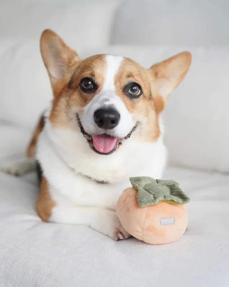 Persimmon Snuffle Squeaky Plush Toy for Dogs - Image 2