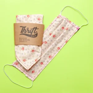 Matching Face Mask & Dog Bandana Set in Pink Floral