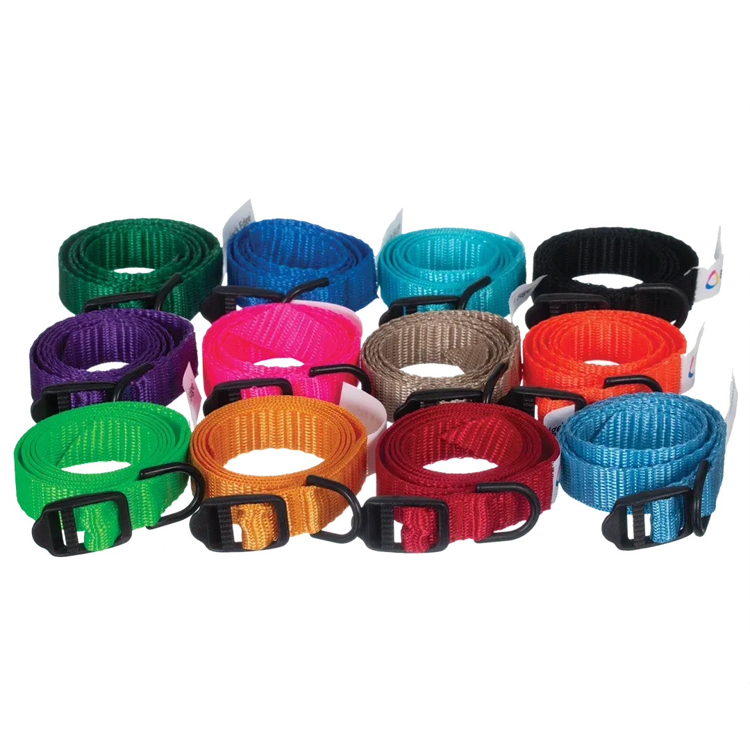 ID Me Take Me Home Collars 12 pk Assorted Colors by Breeder's Edge