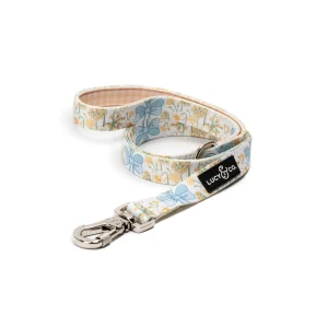 Sunshine and Daffodils Leash