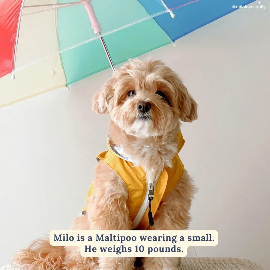 Simply Splendid Reversible Raincoat - Image 2