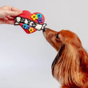 NYC Dog Cookie (Dog & Co. Exlclusive)