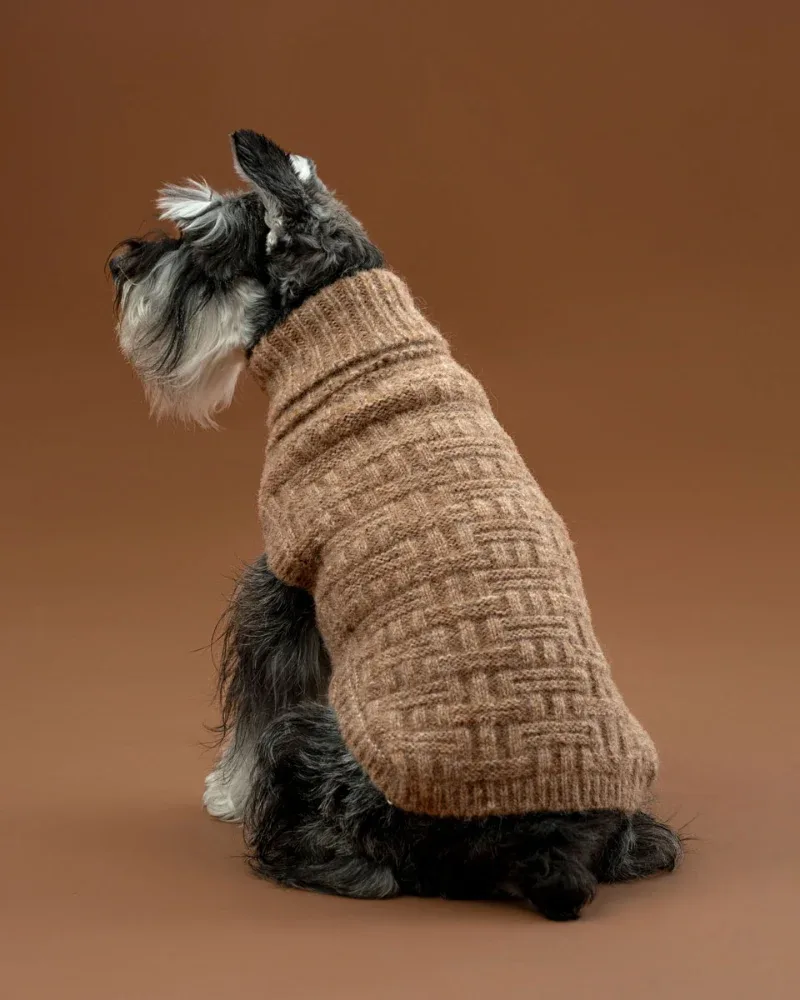 Basket Knit Alpaca Wool Dog Sweater in Golden Heather - Image 2