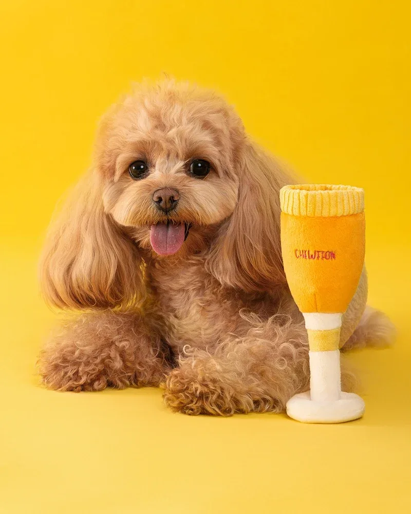 Pawsecco Squeaky Dog Toy