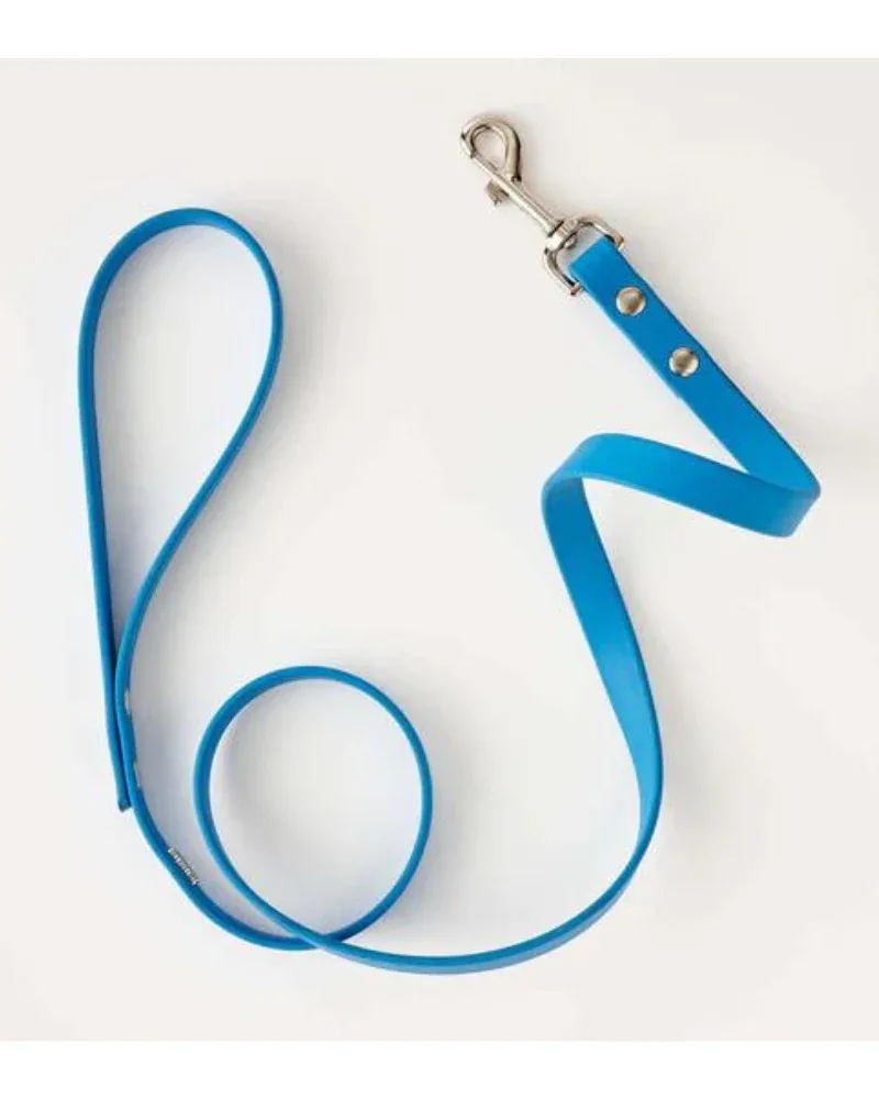 Sky Blue Clouds Dog Collar + Leash Set (Made in Canada) - Image 2