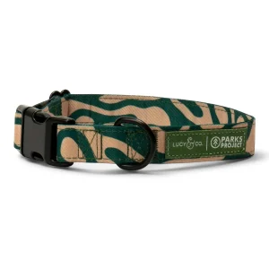 Lucy & Co. x Parks Project Geyser Collar