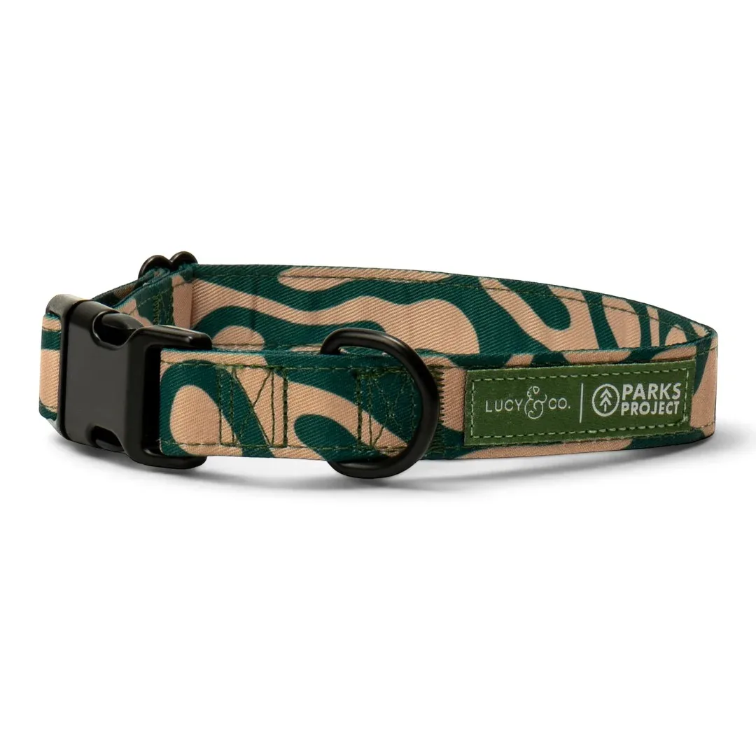 Lucy & Co. x Parks Project Geyser Collar
